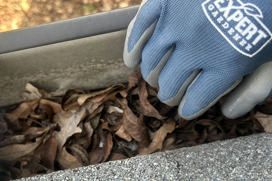 Gutter Cleaning Carrboro