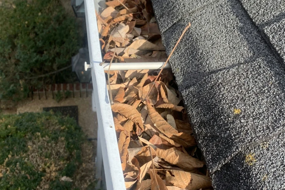 Gutter Cleaning Carrboro